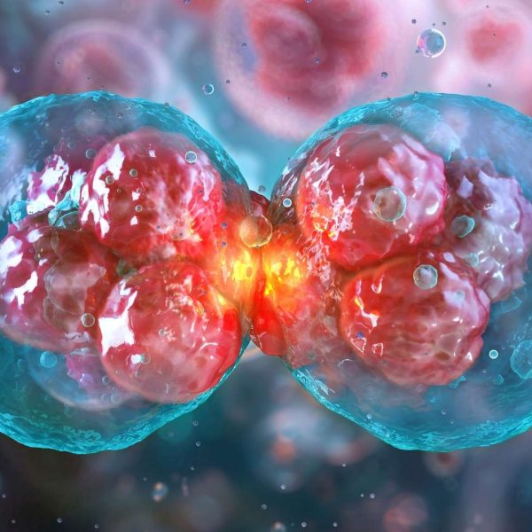 Cellular regeneration